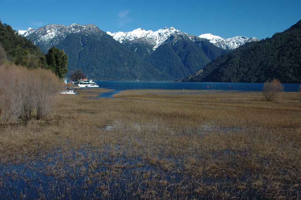 72 - Chile - parque nacional Vicente Perez Rosales, lago de todos los Santos